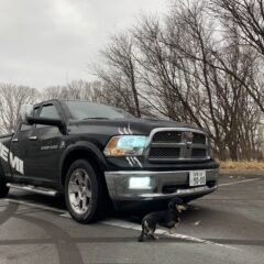 更新してなかった‥。