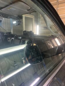 ウロコ取り 前の状態