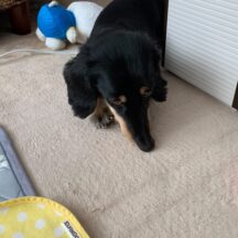 初心者向け：Instagram収益化をスタートしてみませんか？　　〜オーナーのひとり言〜